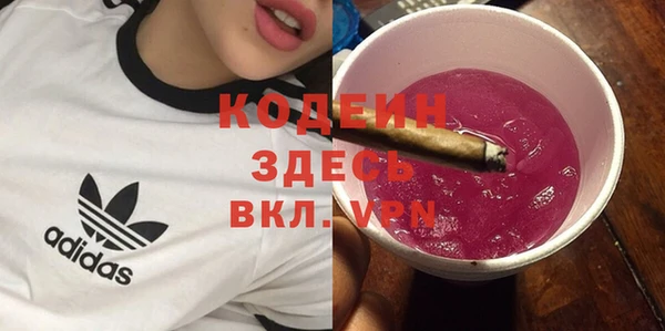 стаф Осинники