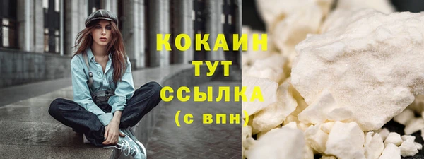 молекула духа Няндома