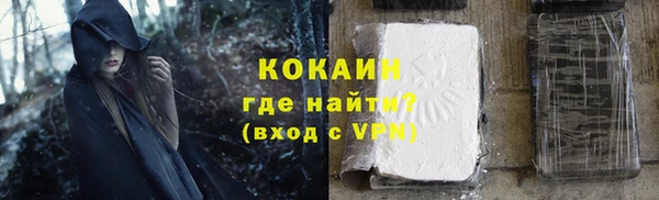молекула духа Няндома