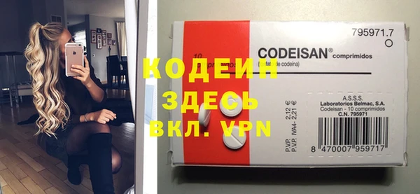 стаф Осинники