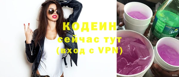 молекула духа Няндома