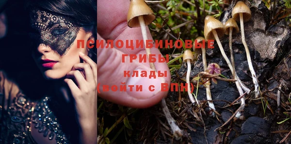 PSILOCYBIN Богородицк