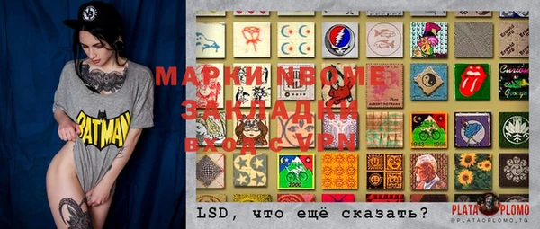 молекула духа Няндома