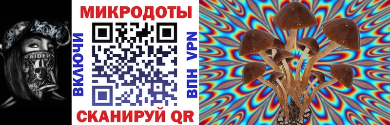 купить наркотики сайты  Красноармейск  Галлюциногенные грибы Magic Shrooms 