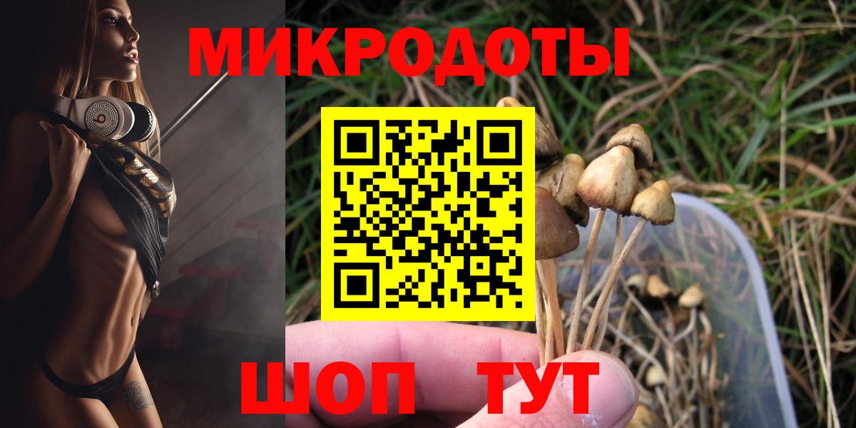 Галлюциногенные грибы Cubensis Красноармейск