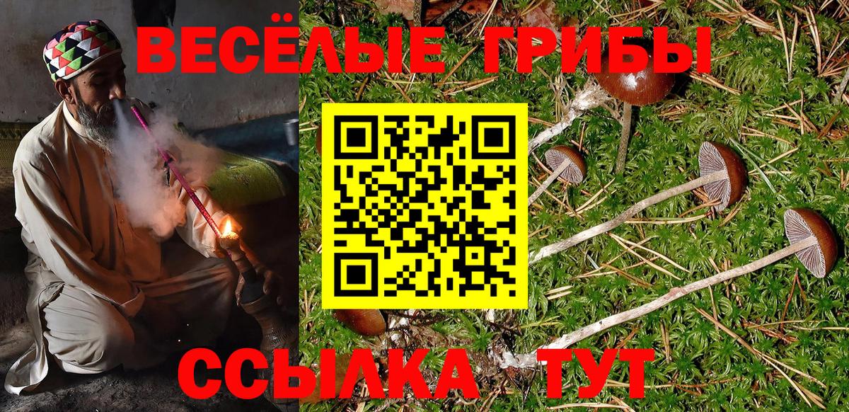 Галлюциногенные грибы Cubensis  Вход с VPN  Псилоцибиновые грибы прущие грибы  Красноармейск 
